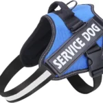 Arnes service Dog Azul